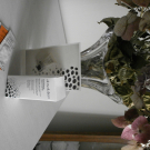 Swatch de marie02 : La Crème Gommante Absolution, Absolution