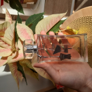 Swatch de Les_avis_de_coralie : Soie Sage, Parfum Jardin de France