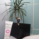 Swatch de Nanie411 : Crème Anti-Rides Classic, Marilou Bio