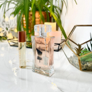 Swatch de aloe2 : Pierre Originelle, Parfum Jardin de France