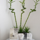 Swatch de Pruebelle : La Crème Gommante Absolution, Absolution