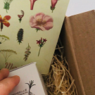 Swatch de testbyfl : Baume d'éclat au romarin du Potager du Roi, Mademoiselle Saint Germain