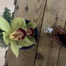 Swatch de Zaza1209 : La Petite Robe Noire - Eau de Parfum, Guerlain