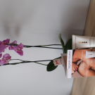 Swatch de Uranie15 : SOIN CORPS EXTRÊME Non Parfumé, Nuhanciam