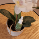 Swatch de Meltesteuse_produits : Sérum Imperfections, Seasonly