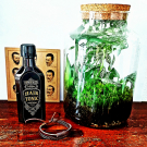 Swatch de jeremy.novais : Hair Tonic, Tonsor & Cie