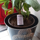 Swatch de zara035 : DEMAIN MATIN GO FOR PROTECTION, DEMAIN BEAUTY