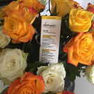 Swatch de Debbb : Soin Hydratant Visage Anti-oxydant Eclat Universel, DEMAIN BEAUTY