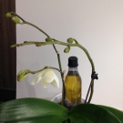 Swatch de ejpelissier : Huile douche triphasée Ekos Maracujá, Natura Brasil