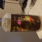 Swatch de attilatyron : Lait corps hammam, Yves Rocher