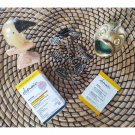 Swatch de lilouka : DEMAIN MATIN GO FOR PROTECTION, DEMAIN BEAUTY