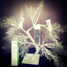 Swatch de mimour : Lotion Purifiante, Seasonly