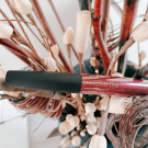 Swatch de Khevi_na : Rouge a lèvre L'Irresistible Prune, ItStyle Makeup