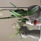 Swatch de Sandrarexh : Chronobiane immédiat, PiLeJe