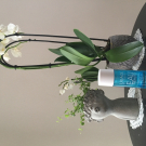 Swatch de Sandrarexh : ESSENCE D'EAU ECLAT, Uriage