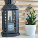 Swatch de ophelys : Elixir des vagues - Booster hydra-ressourçant, Algologie