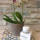 Swatch de alfe91 : Crème des Vagues - Crème Hydra-Fondante, Algologie