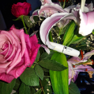 Swatch de Sarra djebali : Baume à lèvres - Anti-âge, ItStyle Makeup