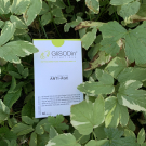 Swatch de Chic50something : GliSODin Anti-Âge de GliSODin, GliSODin