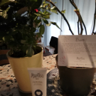 Swatch de vivibaub : Crème Confort Multi-Usages, Marilou Bio