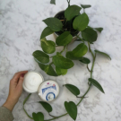 Swatch de Ilféebeau : Crème au beurre de karité., Emma Noël