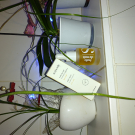 Swatch de Katm66g : Huile de nuit, Seasonly