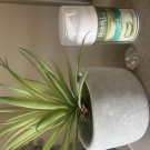 Swatch de Stef25 : Crème Nourrissante Visage bio, NaturAloé