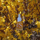 Swatch de Kafrine Métiss : Huile de nuit, Seasonly