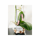 Swatch de Louloute14 : Sky High Lash Sensational Mascara, Maybelline New York