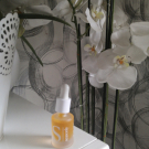 Swatch de Rabha : Huile de nuit, Seasonly