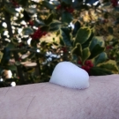 Swatch de mamantornade : Mousse nettoyante, Cattier