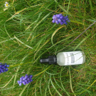 Swatch de severine56630 : Sérum HA BOOSTER, ALPHASCIENCE FRANCE