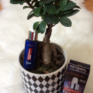 Swatch de Mygtesteuse : Serum nuit Revitalift Laser Retinol Pur, L'Oréal Paris