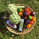 Swatch de Mygtesteuse : Huile d'olive vierge extra biologique origine France, Le Moulin de mon Père