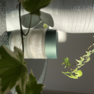 Swatch de laura_gmua44 : Masque à l'argile purifiant Chronos, Natura Brasil