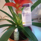 Swatch de nadmoi : Concentré Purifiant Rééquilibrant, Condensé Paris