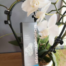 Swatch de Cici22 : Hydro Masque Exfoliant, Dermalogica