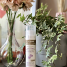 Swatch de Lilidanssesbaskets : Soin de jour léger premières rides, Cattier