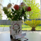 Swatch de Nana35 : Fluide Botanique Purifiant - Pur Paradisi, Saeve