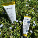 Swatch de Carotina73 : Soin Hydratant Visage Anti-oxydant Eclat Universel, DEMAIN BEAUTY