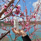 Swatch de Khevi_na : Mousse Nettoyante Visage Nijiko, MY Maquillage