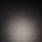 Swatch de Fantasia59 : Huile de nuit, Seasonly