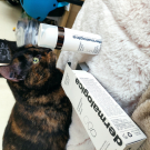 Swatch de Pralineddu : Powerbright Innovation, avant-première, Dermalogica