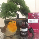 Swatch de lilakadi : Élixir de Pen Lan - Huile Précieuse Revitalisation Intensive, Algologie