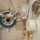 Swatch de VeroJL84 : Crème du Jardin Marin - Crème Hydro-Protectrice Revitalisante, Algologie