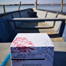 Swatch de Paprika-du-sud : Crème du Jardin Marin - Crème Hydro-Protectrice Revitalisante, Algologie