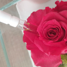 Swatch de Maellnm : Santal précieux, Caron