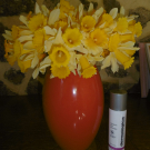 Swatch de cococalvi : Dynamic Skin Recovery SPF50, Dermalogica