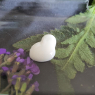 Swatch de jodanelle : Lait Corporel bio, NaturAloé