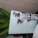 Swatch de îlot007 : Sérum Complexe Eclat Jeunesse, Alban Muller Génie Botanique